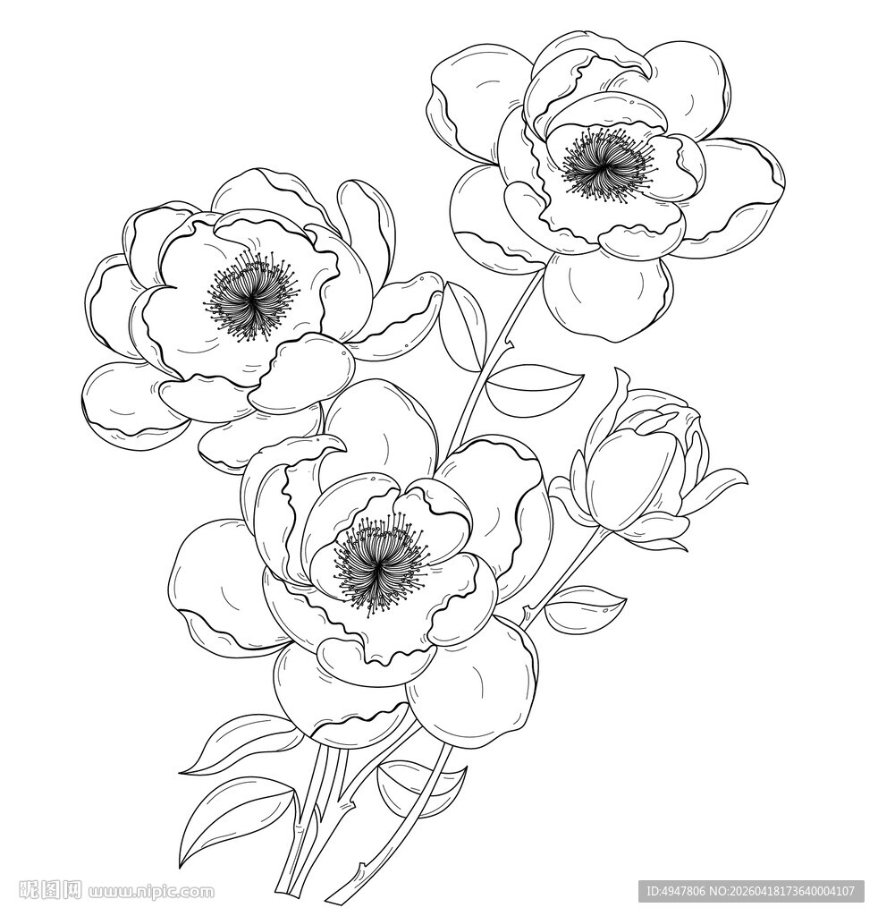 花卉藤蔓线条装饰图案 矢量图