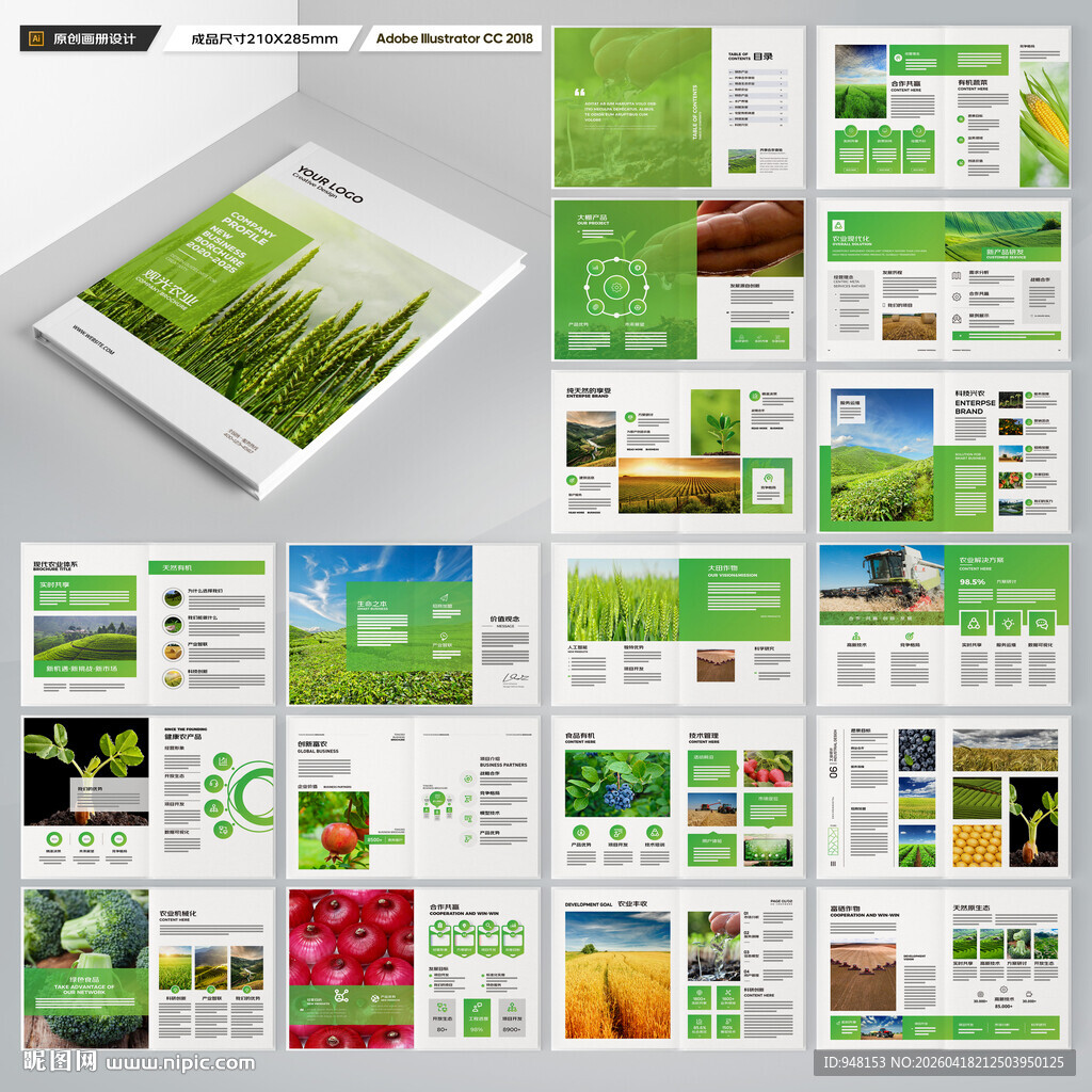 农产品宣传册