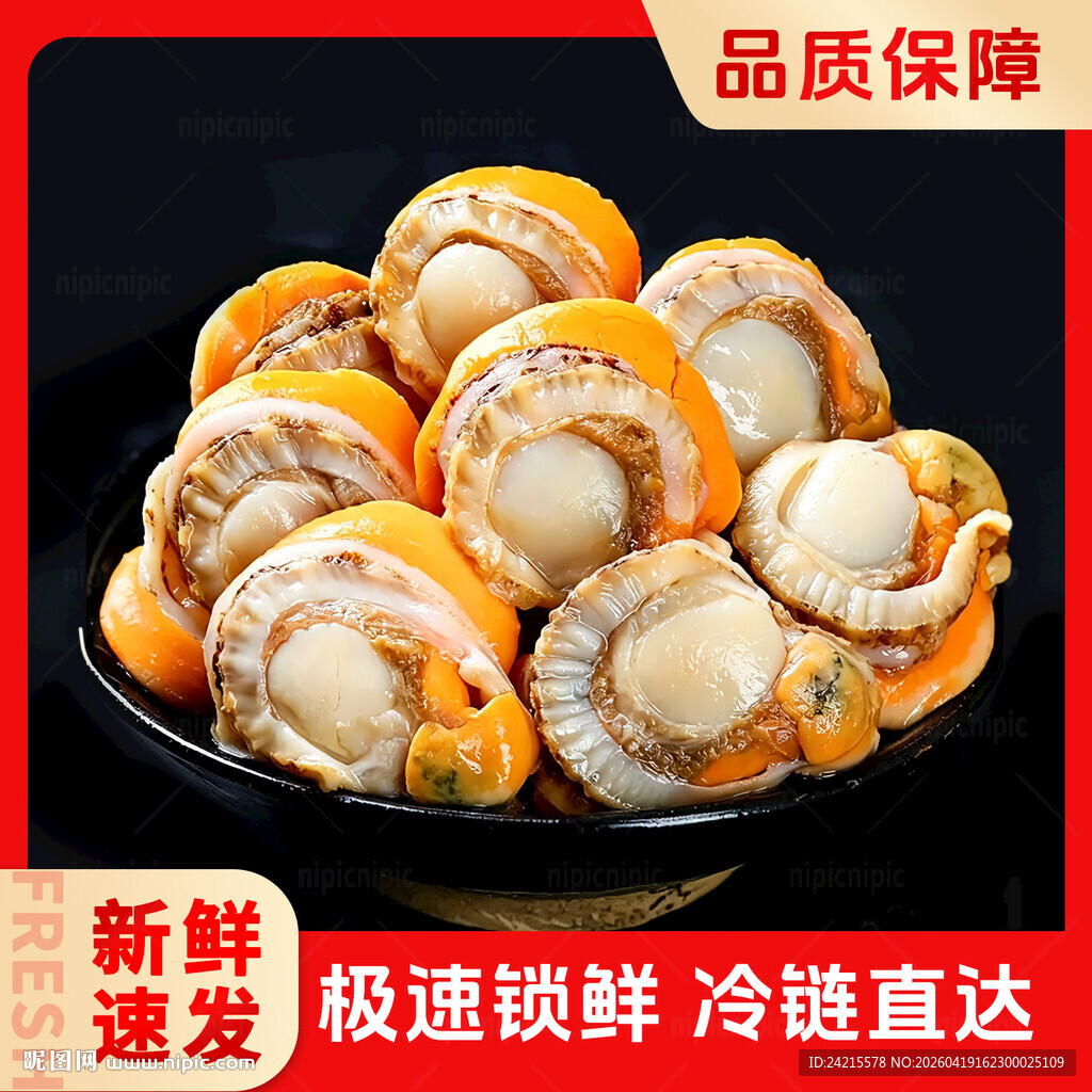 扇贝肉主图