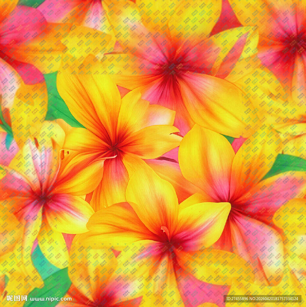 多彩鸡蛋花图案背景