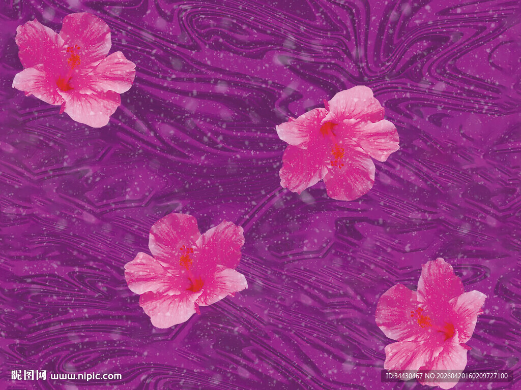 紫色背景上的粉色花朵
