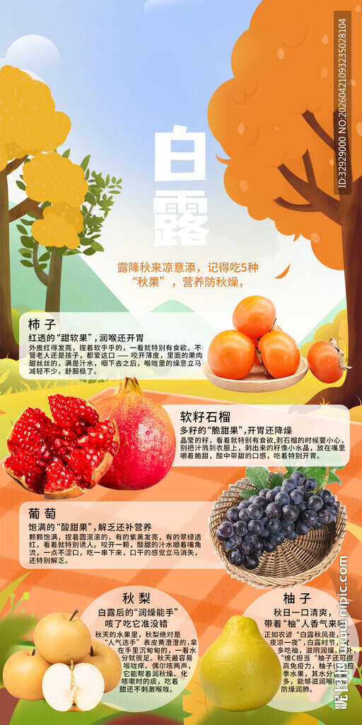 秋季营养蔬果健康搭配