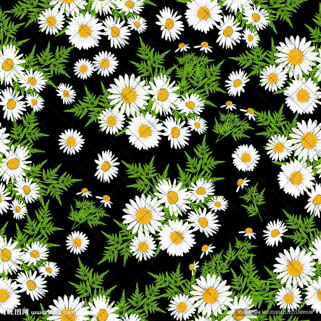 黑色背景上的小雏菊图案