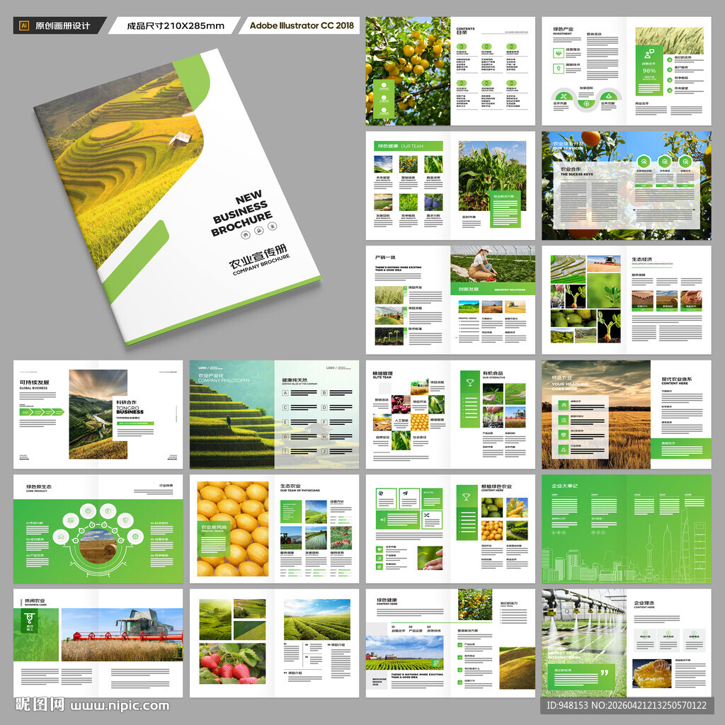 农产品宣传册