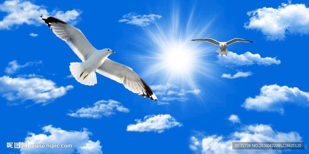  蓝天白云天花软膜