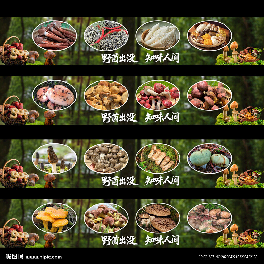 野生菌火锅菌汤海报