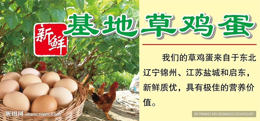 基地草鸡蛋