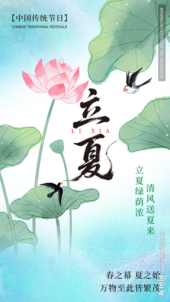 夏日荷花立飞鸟伴夏来