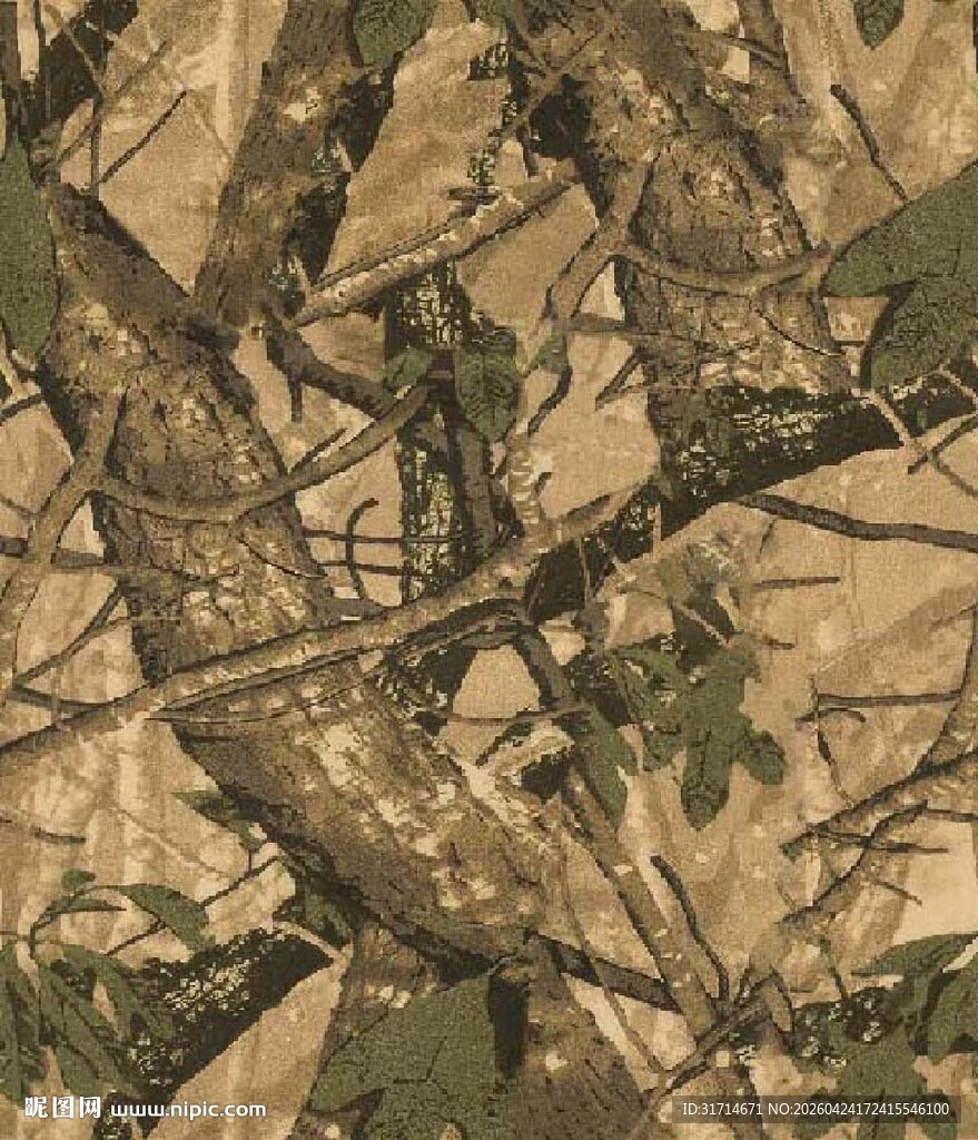 迷彩树叶纹理图案