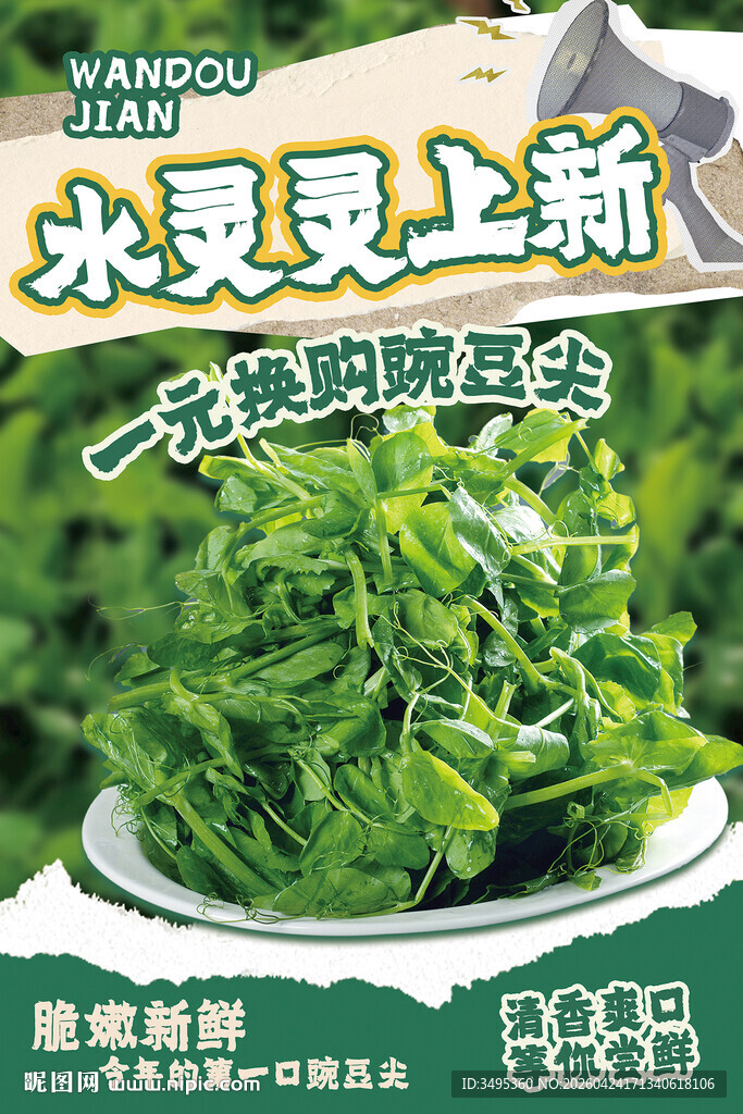 豌豆尖海报