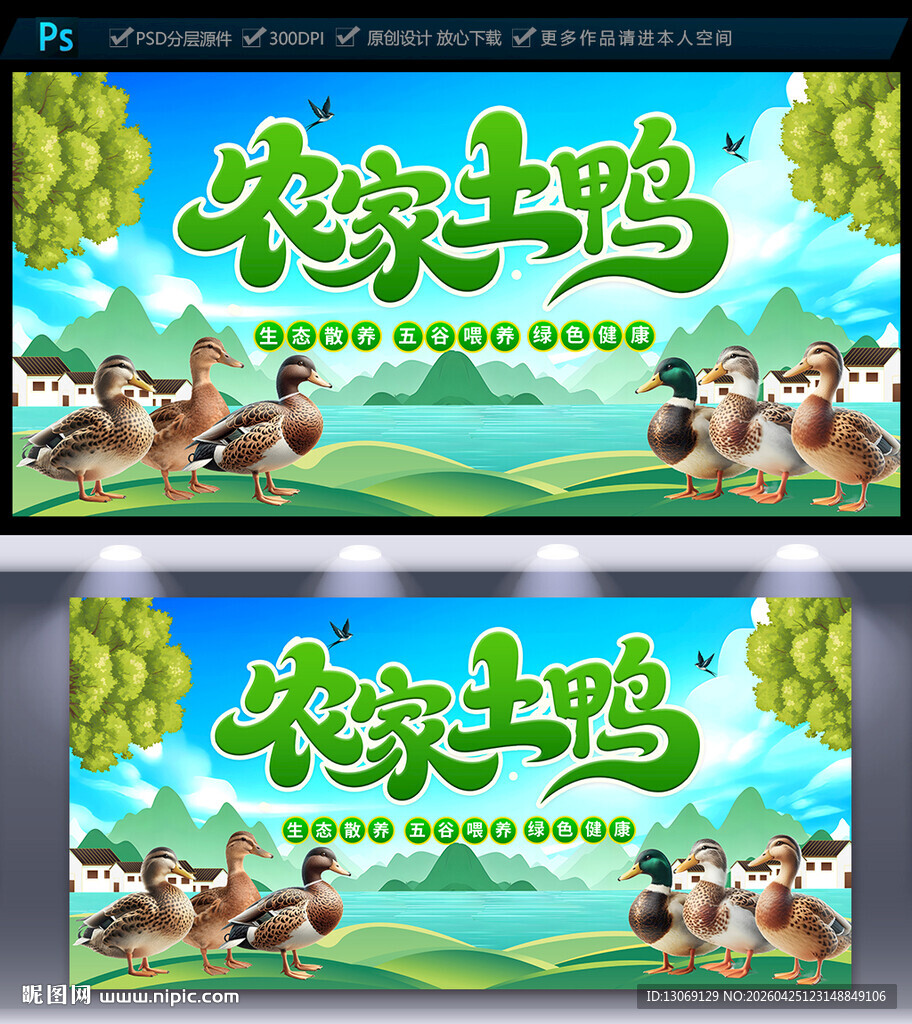 农家土鸭海报