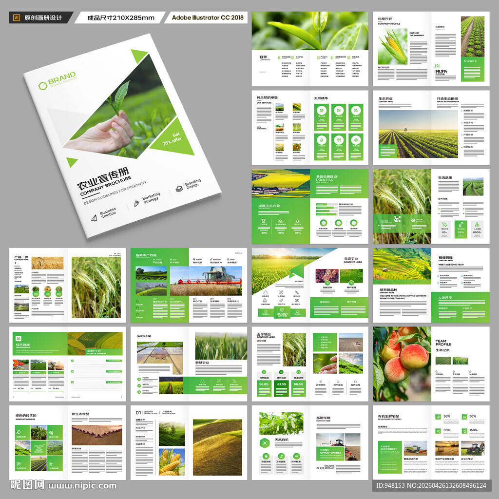 农业合作社画册