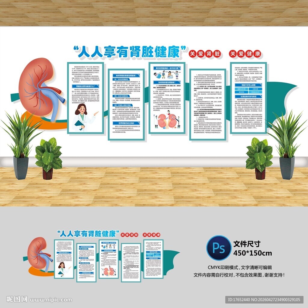 肾脏健康文化墙