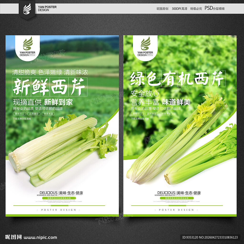 西芹