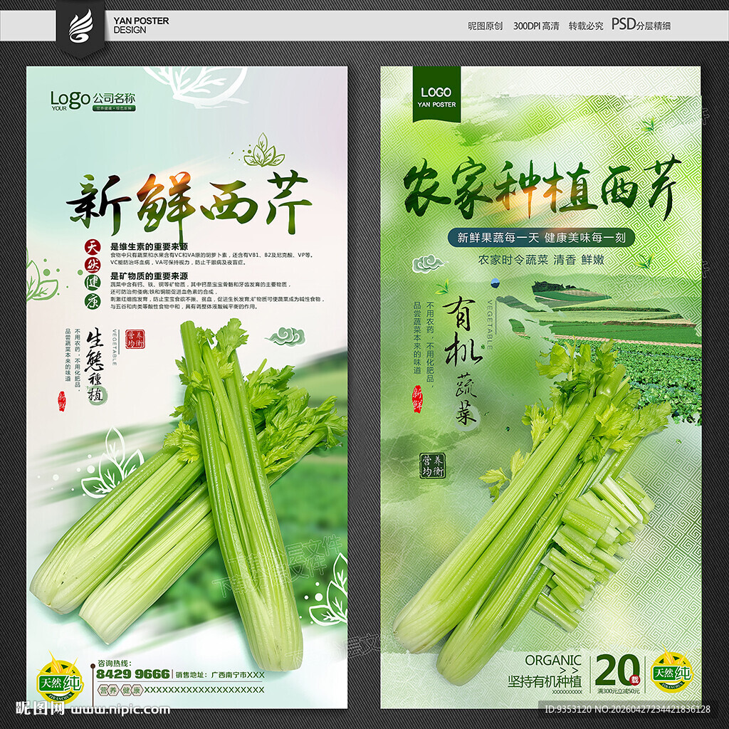 西芹