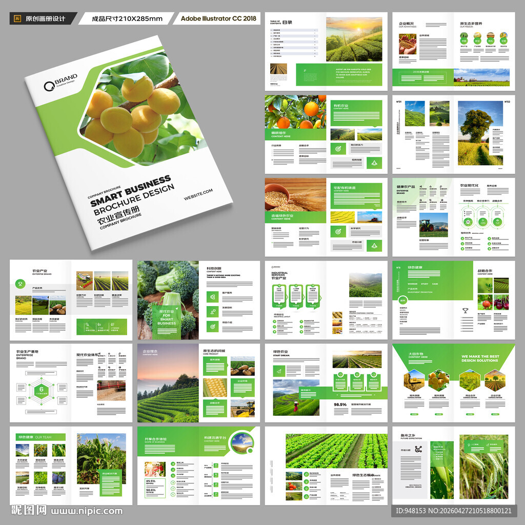 农产品宣传册