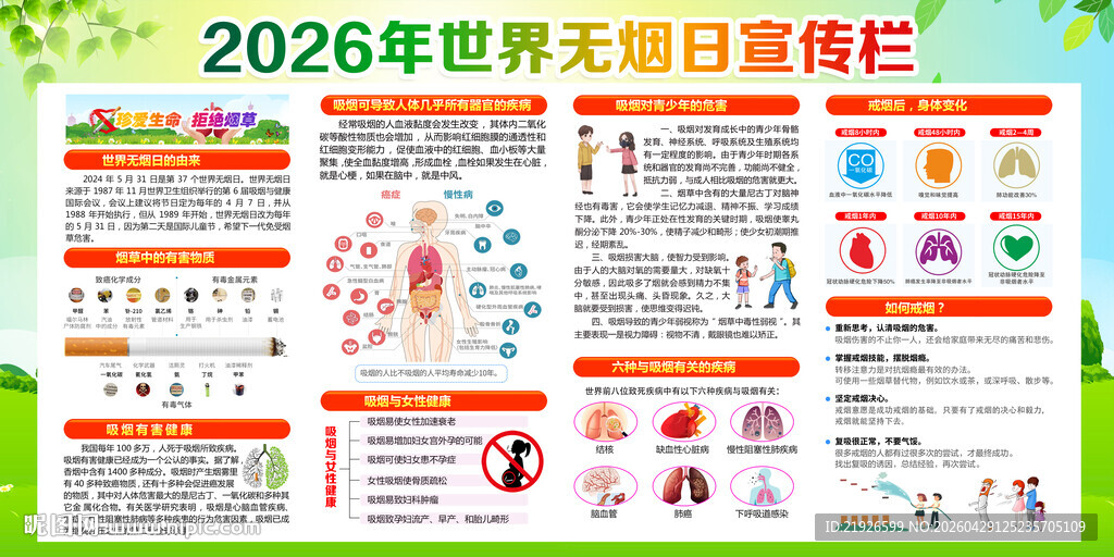 2026年世界无烟日宣传栏