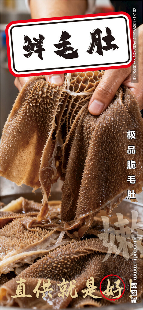 鲜毛肚 火锅美味食材