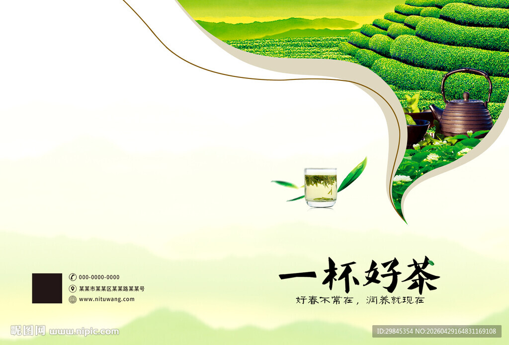 清新茶园风光 一杯好茶