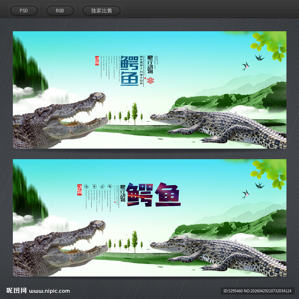 鳄鱼