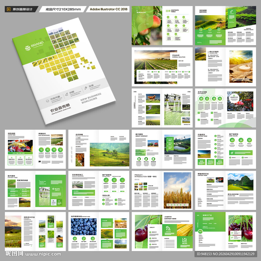 农产品宣传册