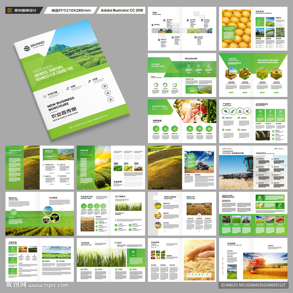农产品宣传册
