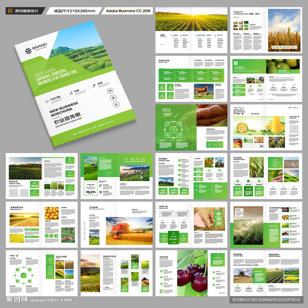 农产品宣传册