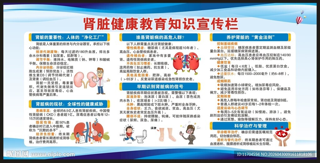 世界肾脏日宣传栏