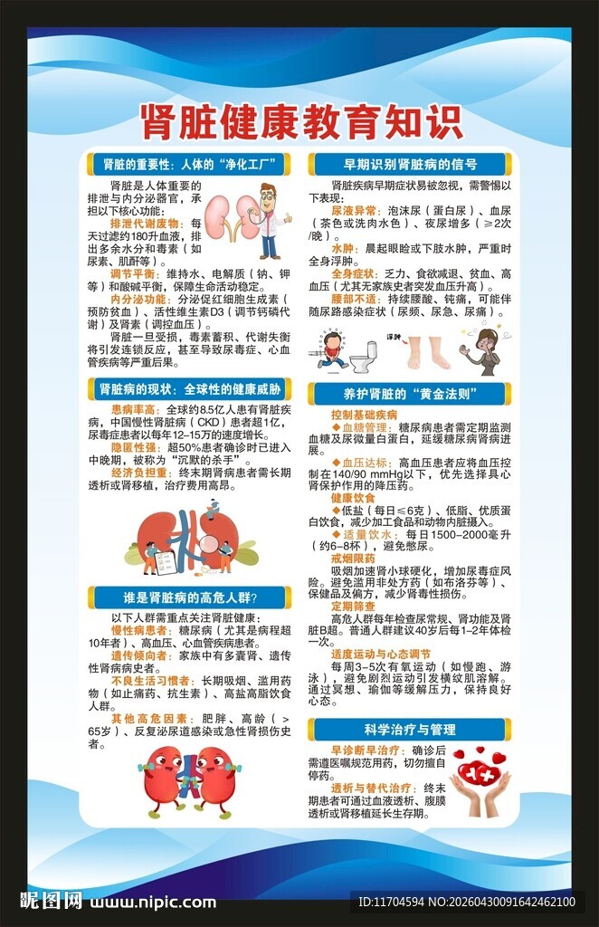 世界肾脏日海报