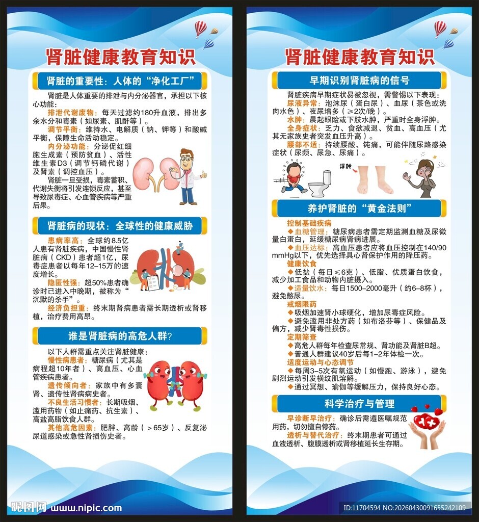 世界肾脏日展架