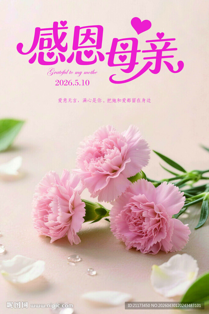 感恩母亲 康乃馨 母亲节