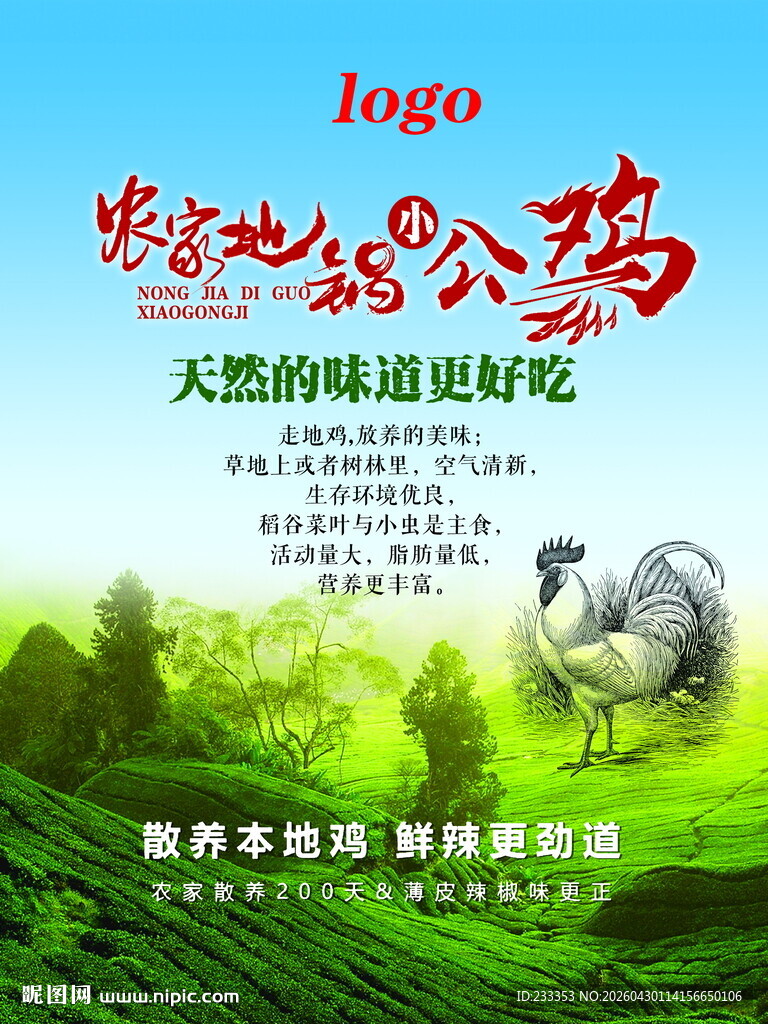 天然散养公鸡美味好营养
