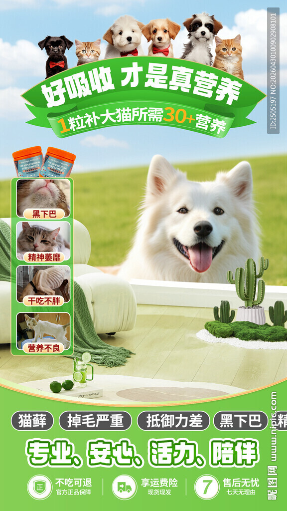 宠物直播间背景贴片源文件
