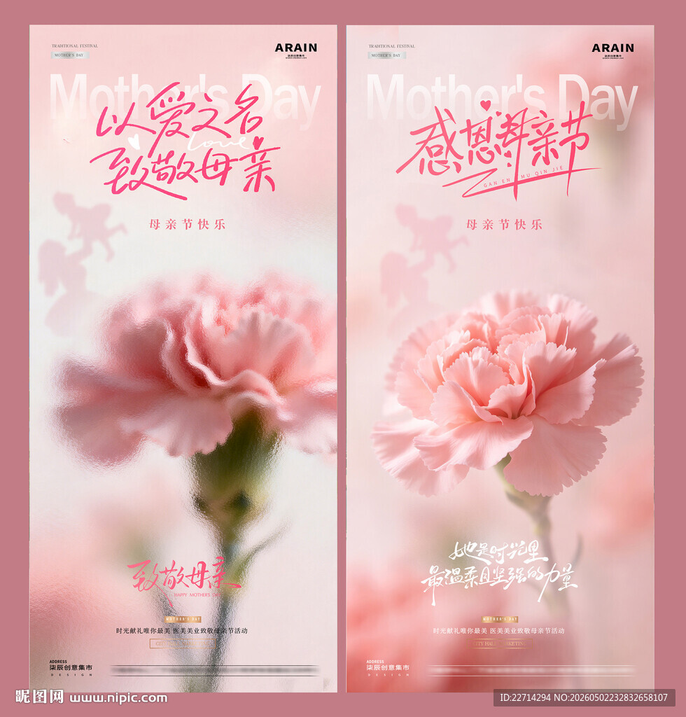医美母亲节康乃馨节日海报