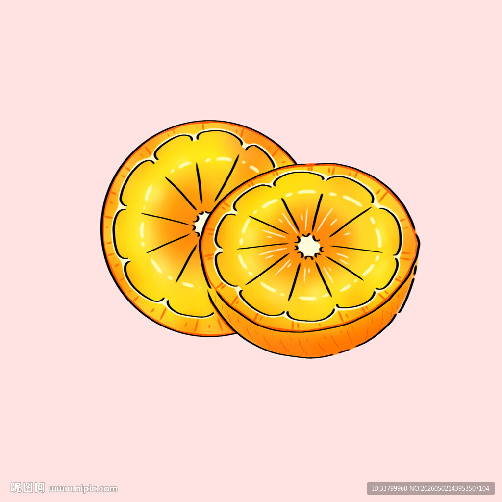 两片鲜橙插画