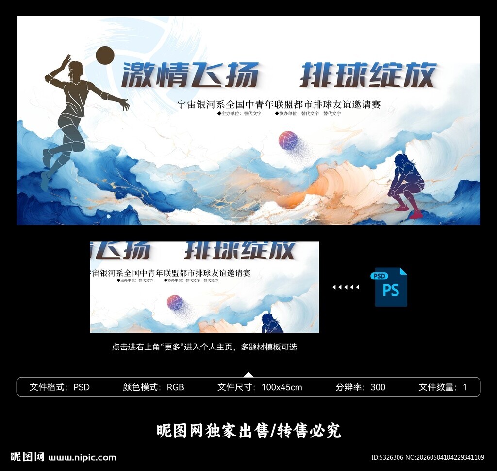 排球赛