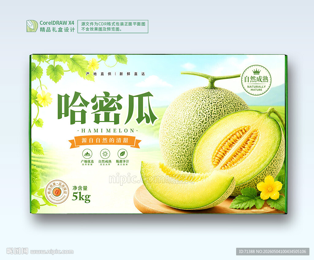 哈密瓜包装 水果礼盒