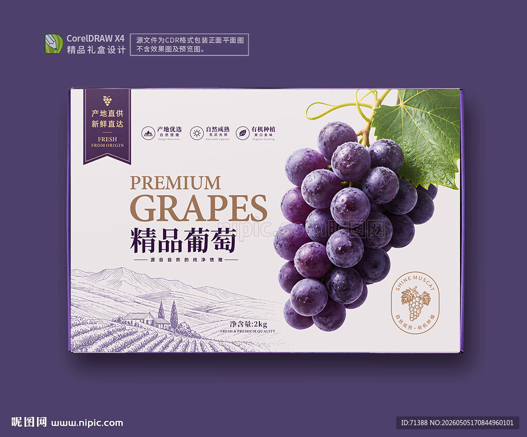 葡萄礼盒包装