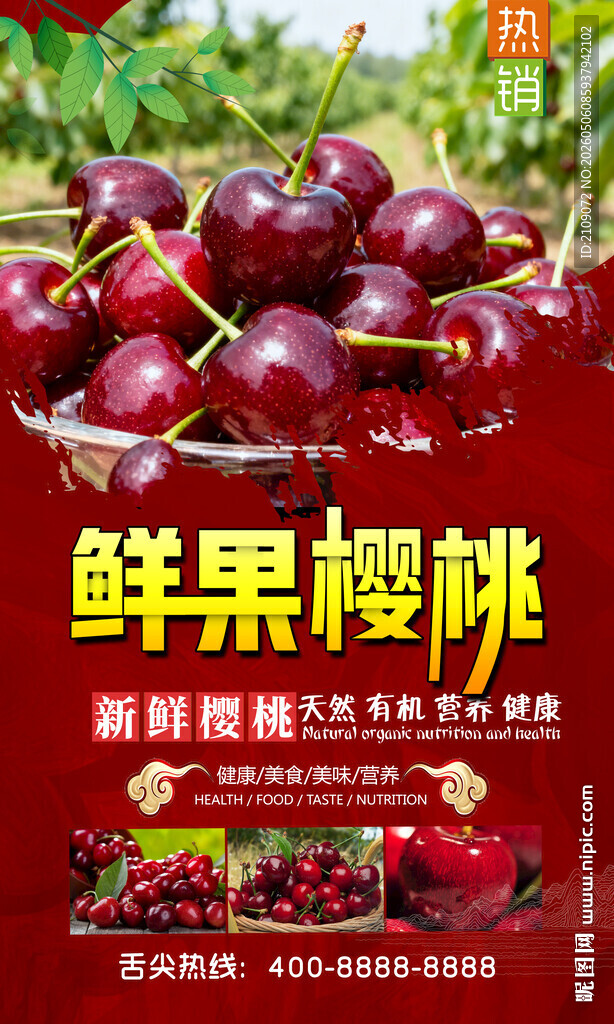 樱桃 