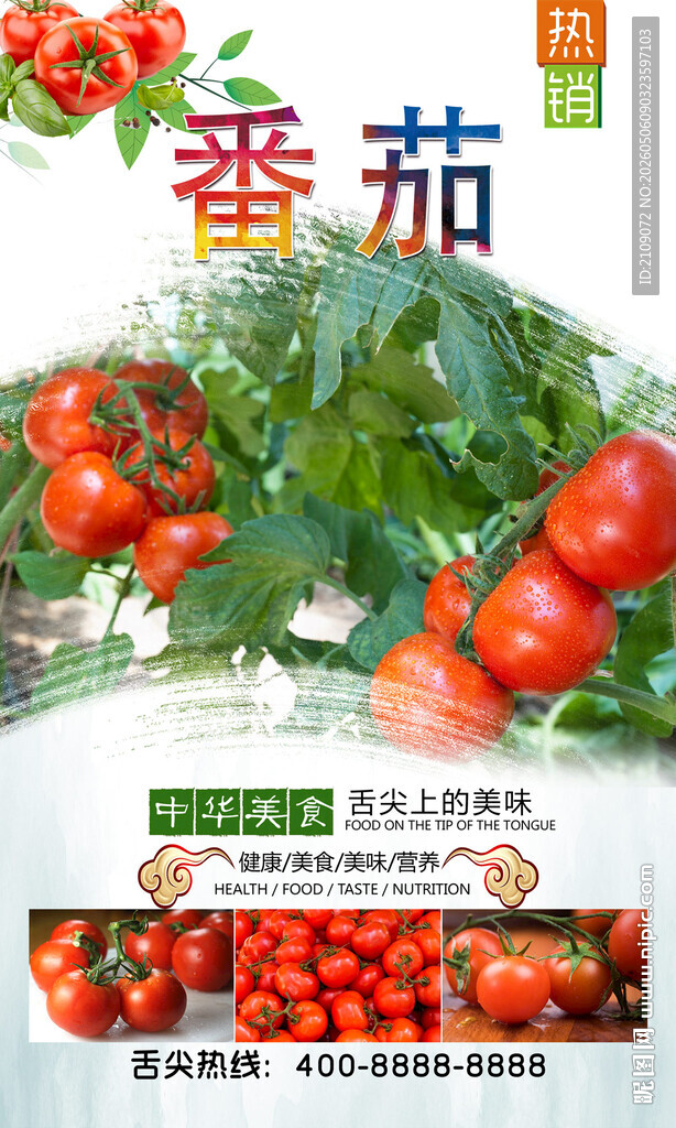 番茄