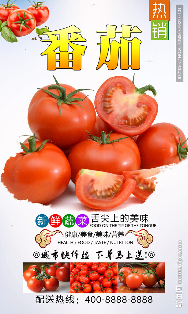 番茄 
