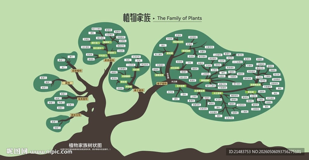 植物家族树状图