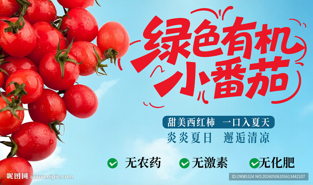 田园风西红绿色有机小番茄宣传图