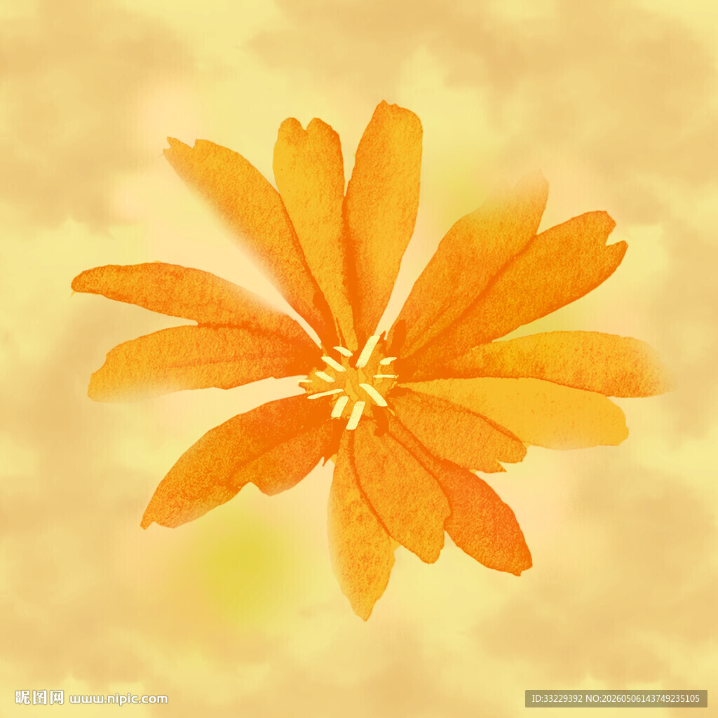 橙色花朵水彩画