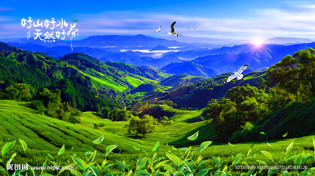 茶山