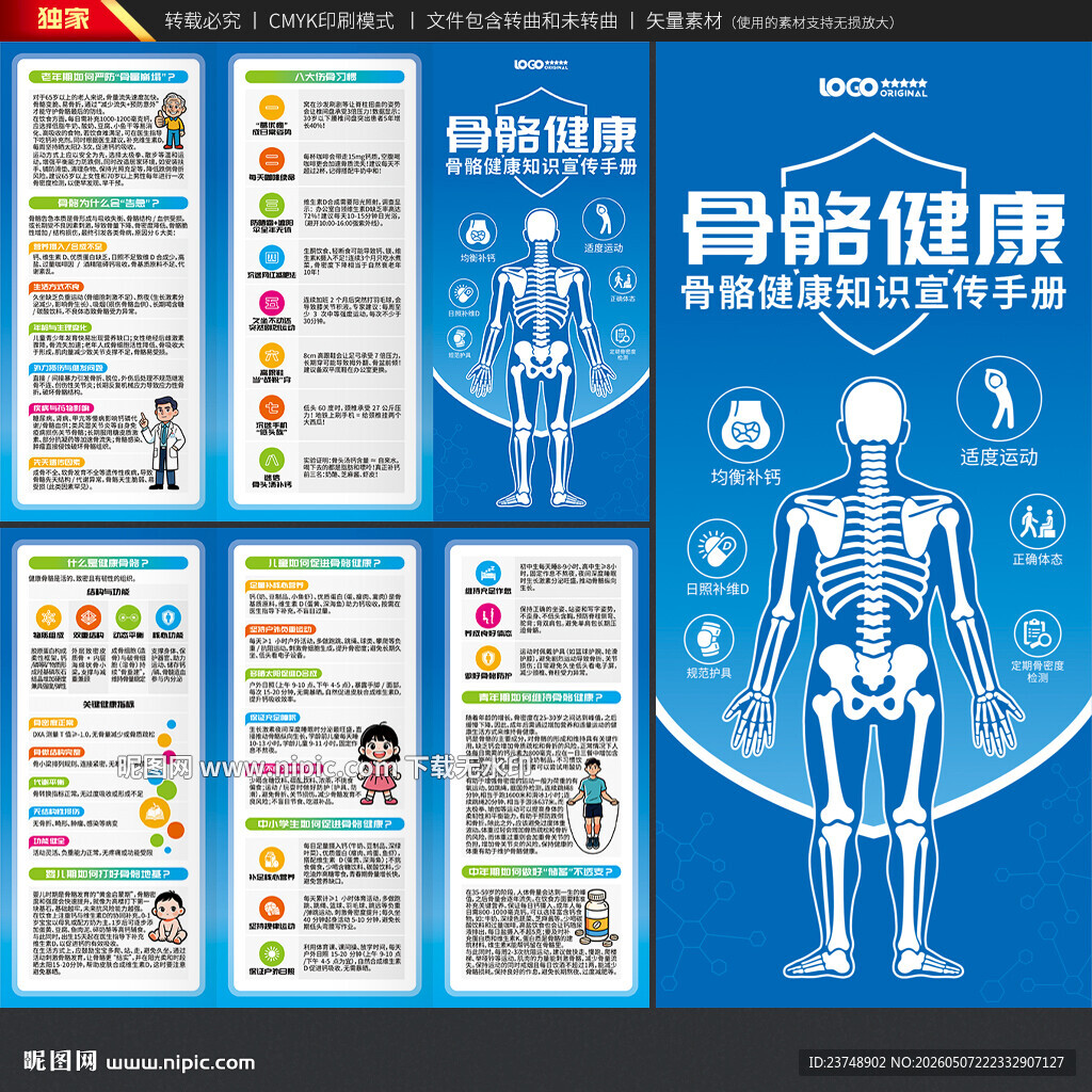 骨骼健康三折页