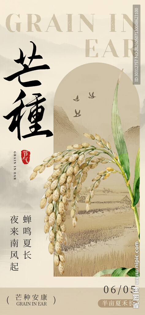 传统农耕之谷物种植场景