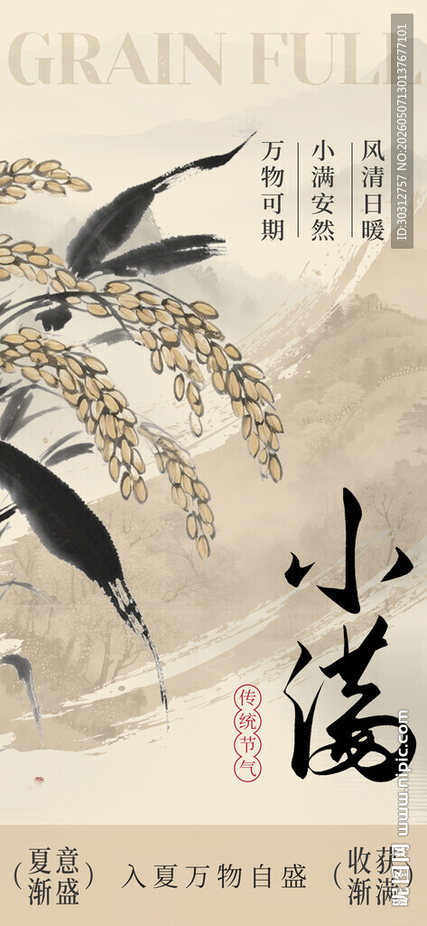 中式小满节气水墨风插画