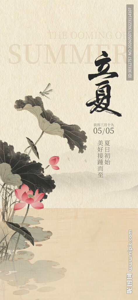 水墨夏荷