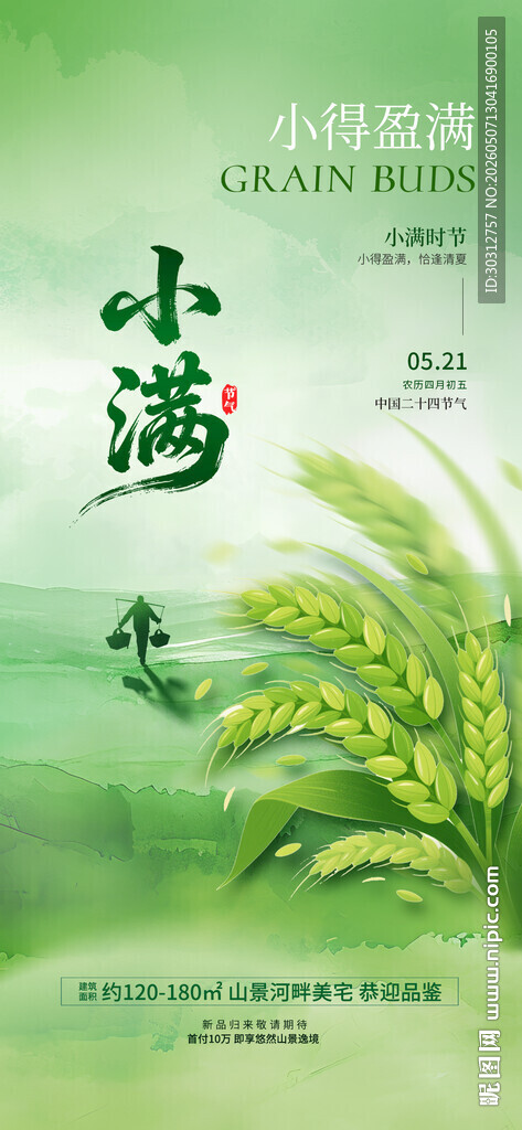 清新风小满节气宣传图